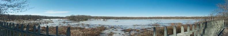 Friends of Huntley Meadows Park